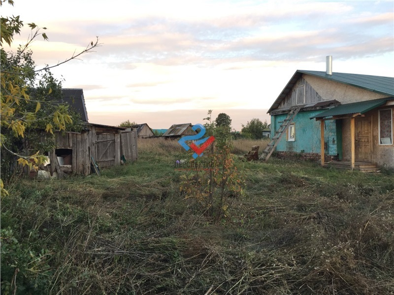 Стрептокарпус уход в домашних условиях фото, пересадка, болезни Что делать, если фикус Бенджамина сбросил все листья?