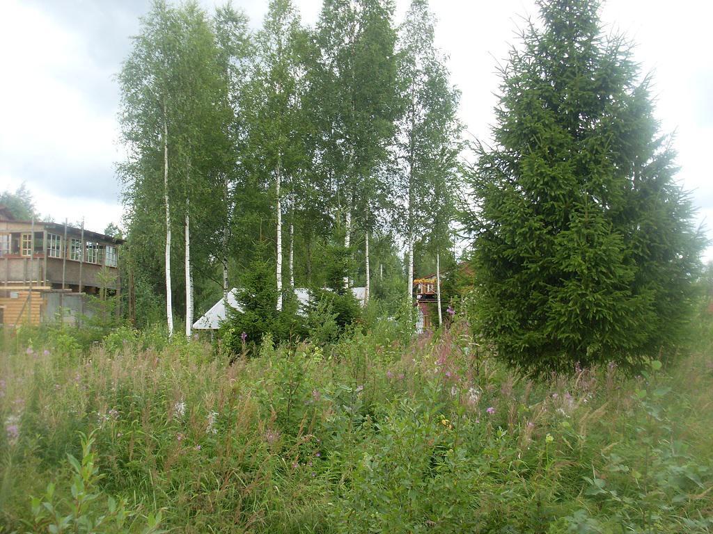 Инфраструктура