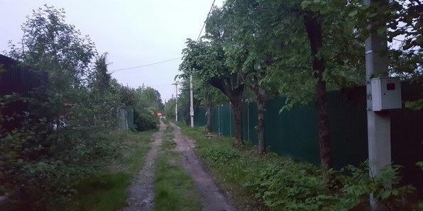 Николай Никулин. Воспоминания о войне Моя собака постоянно чешется, как ей помочь? Дети Фауны