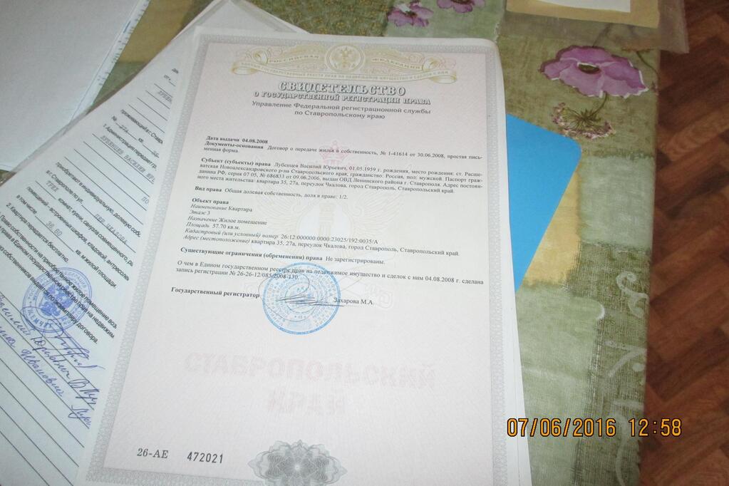 Однолетние цветы, цветущие все лето - название и фото Однолетние цветы, цветущие все лето - название и фото