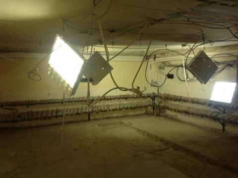 Фото: Помещение свободного назначения в Деловом Центре в 50 метрах test