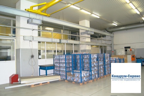 Фото: Сдается в аренду помещение свободного назначения (псн), общей test