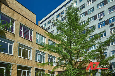 Фото: Аренда помещения свободного назначения на 1 этаже Бизнес-центра test