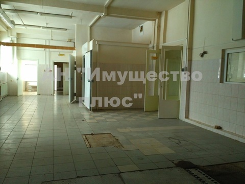 Фото: Сдается производственное помещение, 450 кв. м, под пищевое производство, test