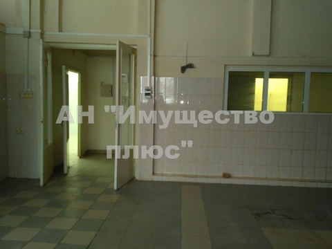 Фото: Сдается производственное помещение, 450 кв. м, под пищевое производство, test