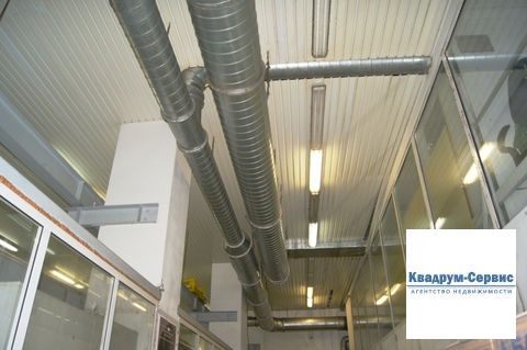 Фото: Сдается в аренду помещение свободного назначения (псн), общей test