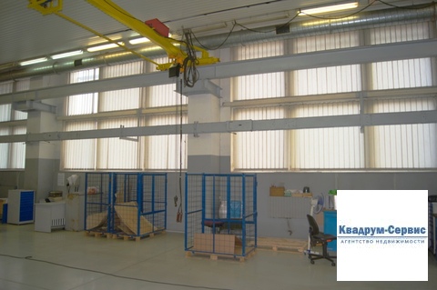 Фото: Сдается в аренду помещение свободного назначения (псн), общей test