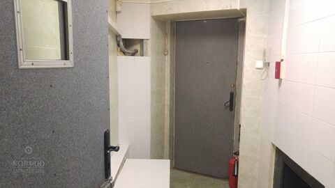 Фото: Объект №26049 Сдается в аренду нежилое помещение, свободного test