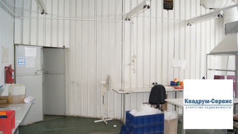 Фото: Сдается в аренду помещение свободного назначения (псн), общей test