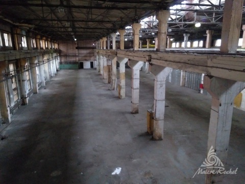 Фото: В аренду предлагаются складские помещения в 3-х мин.  езды от test