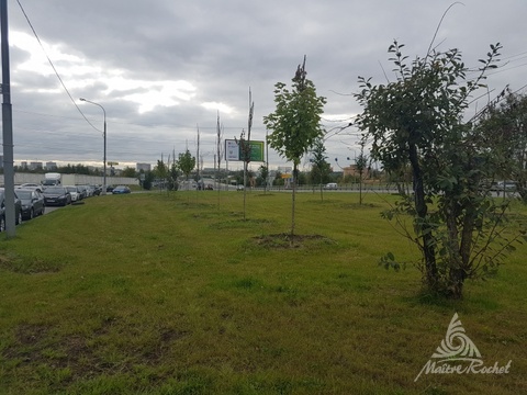 Фото: Предлагаемое складское помещение расположено в складском комплексе test