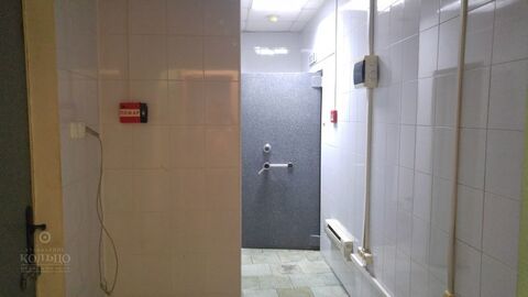 Фото: Объект №26049 Сдается в аренду нежилое помещение, свободного test
