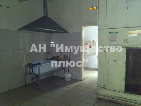 Фото: Сдается производственное помещение, 450 кв. м, под пищевое производство, test