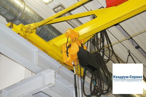 Фото: Сдается в аренду помещение свободного назначения (псн), общей test