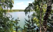 15 соток (лпх) в с.Городец, рядом лес, недалеко озера и р. Ока - Фото 1