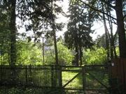Дача поселок Челюскинский, Пушкинский р-н - Фото 1