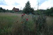 Участок 12 сот. - Фото 4