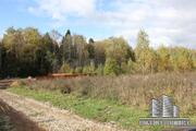 Участок, д. Ваньково кп "Васнецово Парк" (Дмитровский район) - Фото 3
