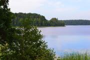 Пп участок 5 Га береговая линия лес рыбалка грибы ягод рядом трасса - Фото 2