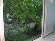 Продается однокомнатная квартира в центре Новых Химок Дружбы 12 - Фото 1