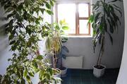 3-комнатная квартира в ЦАО 93м2 кирп-монолитный дом - Фото 4