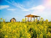 Участок 10 соток, Можайский р-н, Минское шоссе, 97 км - Фото 1