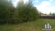 Участок 11.8 сот, г/п Деденево (Дмитровский район) - Фото 5