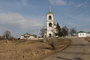 12 соток д.Шубино Домодедовского района - Фото 1