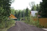 Продается лесной участок, Минское - Можайское шоссе, район Голицыно - Фото 2