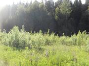 Участок 15,46 соток в поселке «Эра» вблизи г. Калязина Тверской обл. - Фото 3