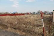 12 соток д.Шубино Домодедовского района - Фото 3
