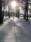 Земельный участок п. Пески - Фото 2