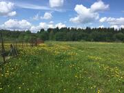 Участок рядом с городом возле леса, не далеко от водохранилища - Фото 4
