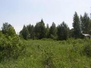 Продается участок в СНТ д.Масюгино, Ленинградское шоссе - Фото 2