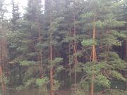 2-х ком. квартира, МО, с.п.Десеновское, пос.Ватутинки, - Фото 5
