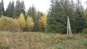 Продаётся лесной участок 44 сотки Солнечногорский район д.Николаевка - Фото 1