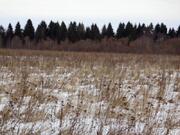 Участок 18 га с/х назначения рядом с деревней - Фото 4