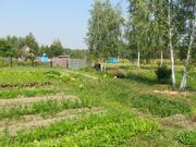 Продается земельный участок в СНТ Полесье д. Липитино Озерский район - Фото 4
