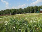 Участки Чеховский район Васькино, Лешино - Фото 1