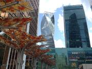 Продается офис 273 м2 в МФК Меркурий Сити Тауэр - Фото 5