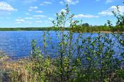 Пп участок 5 Га береговая линия лес рыбалка грибы ягод рядом трасса - Фото 4
