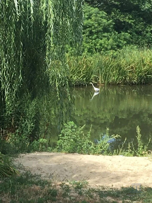 Продажа участка, Рогожкино, ул. Превомайская,  15