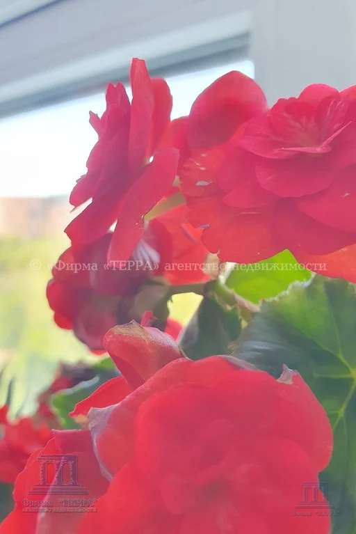 Продажа 3-комнатной квартиры, Ростов-на-Дону, ул. Каяни,  9В