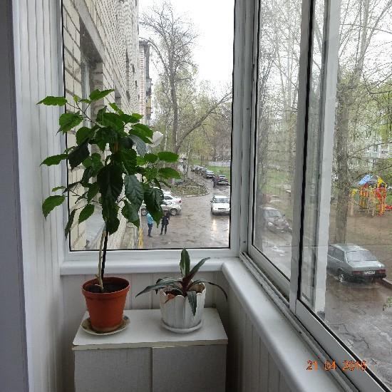 Продажа квартиры, тольятти, жилина проезд, купить квартиру в.