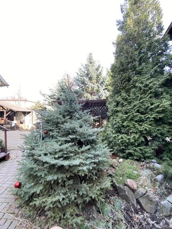 Продажа дома, 486м <sup>2</sup>, 12 сот., Камышеваха, ул. Центральная,  9