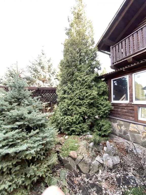 Продажа дома, 486м <sup>2</sup>, 12 сот., Камышеваха, ул. Центральная,  9