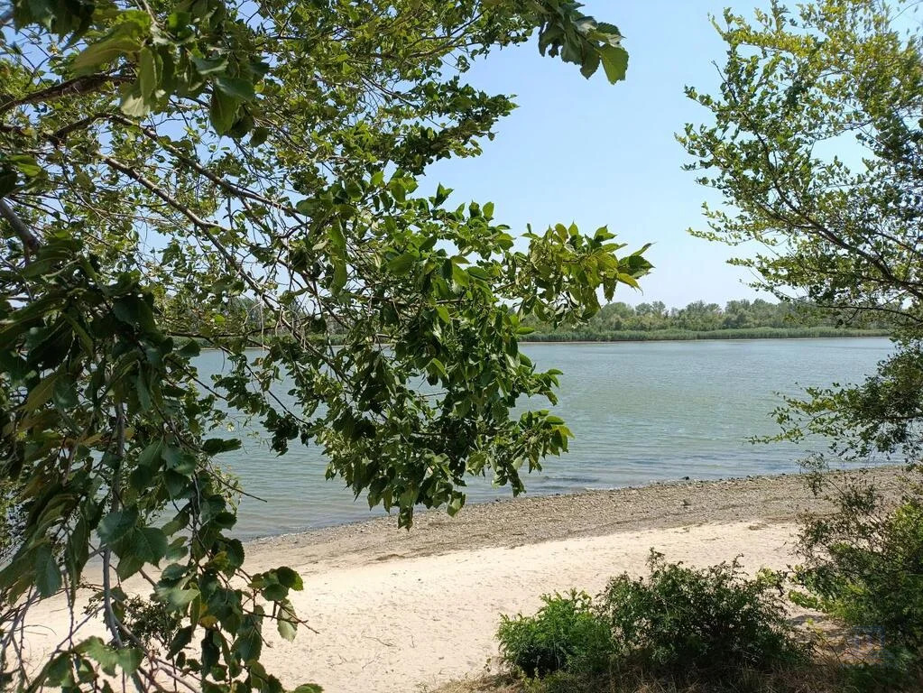 Продажа участка, Арпачин, ул. Луговая