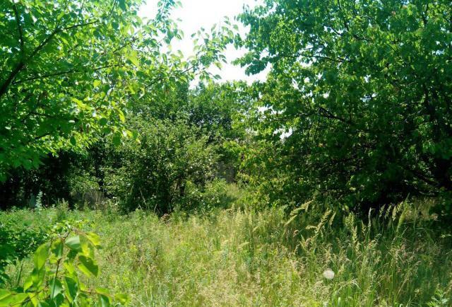 продажа земельного участка в таганроге впервые