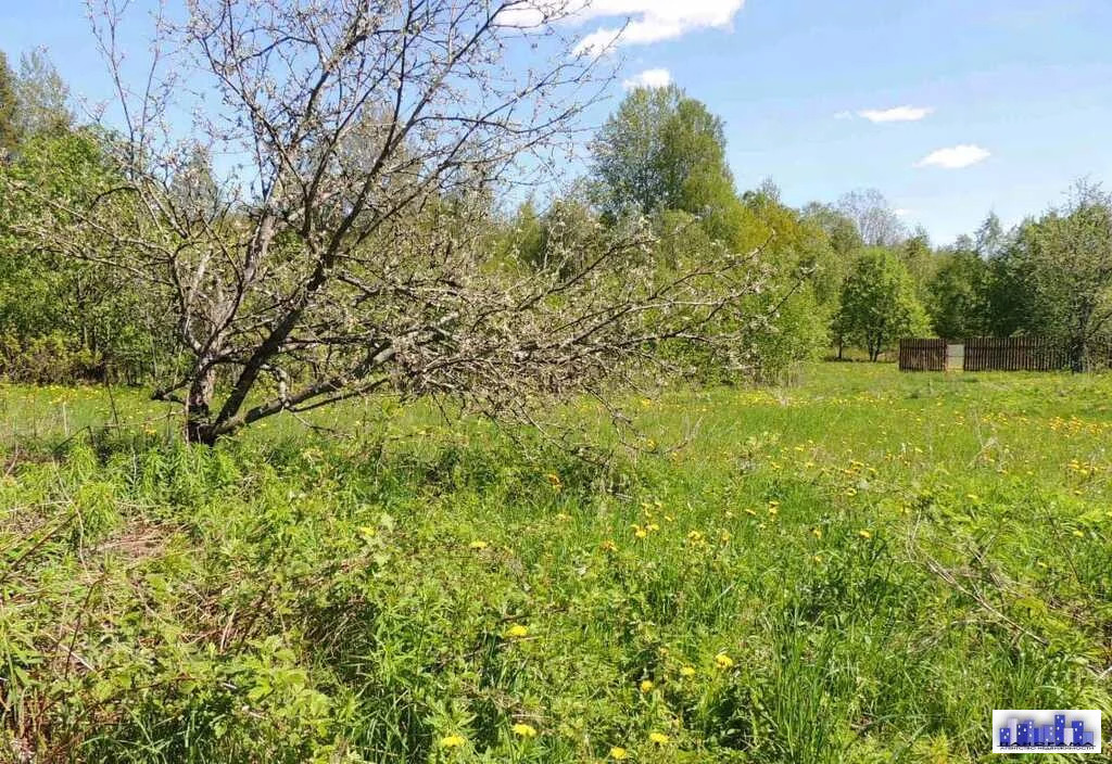 Купить Земельный Участок В Д