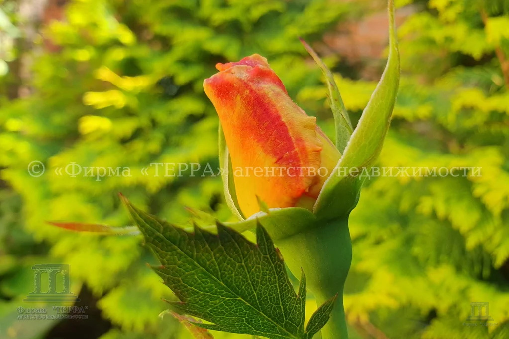 Продажа дома, 95м <sup>2</sup>, 3 сот., Ростов-на-Дону, Чингарский пер.,  17А